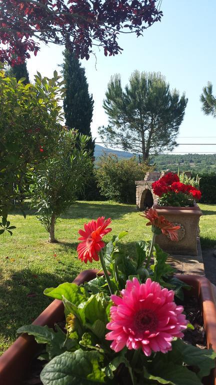 Agriturismo Il Catrino Ponteginori Exterior photo