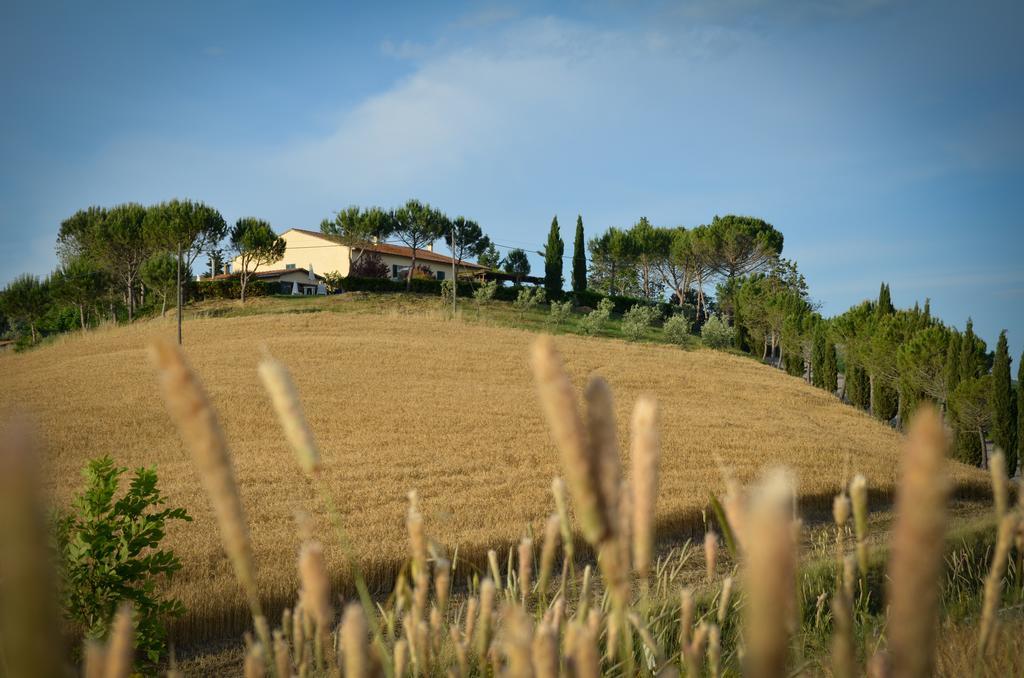 Agriturismo Il Catrino Ponteginori Exterior photo