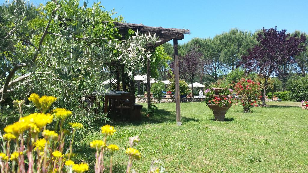 Agriturismo Il Catrino Ponteginori Exterior photo