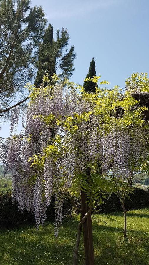 Agriturismo Il Catrino Ponteginori Exterior photo