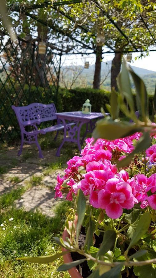 Agriturismo Il Catrino Ponteginori Exterior photo