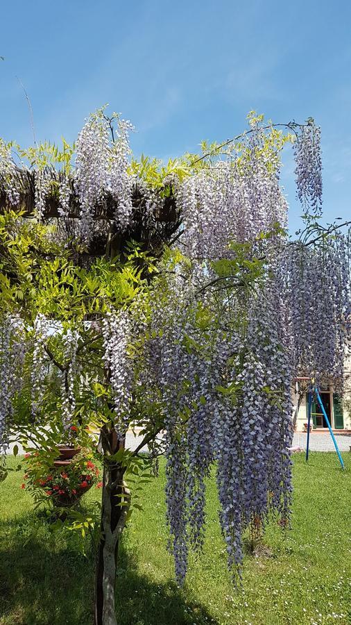 Agriturismo Il Catrino Ponteginori Exterior photo
